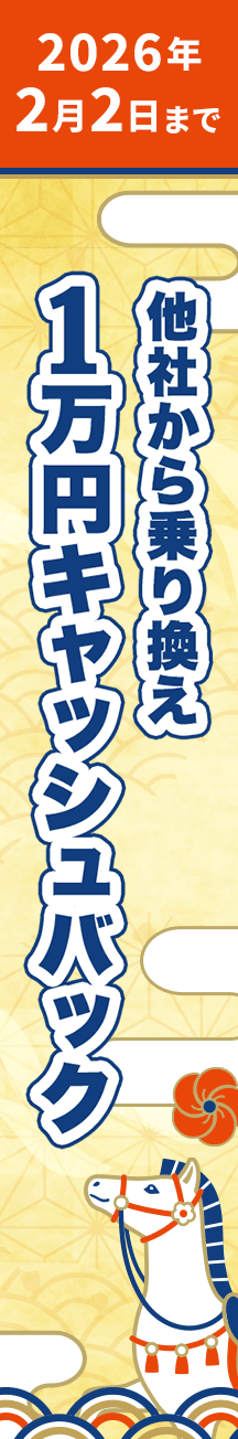 アンケート回答で完全無料の半自動ツールをプレゼント!