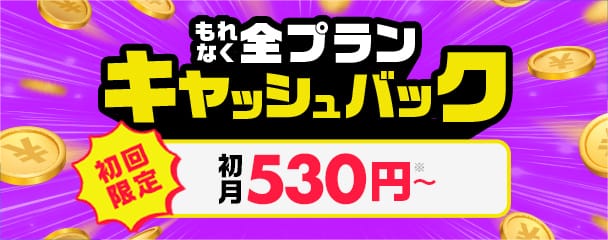 もれなく全プランキャッシュバック 初回限定