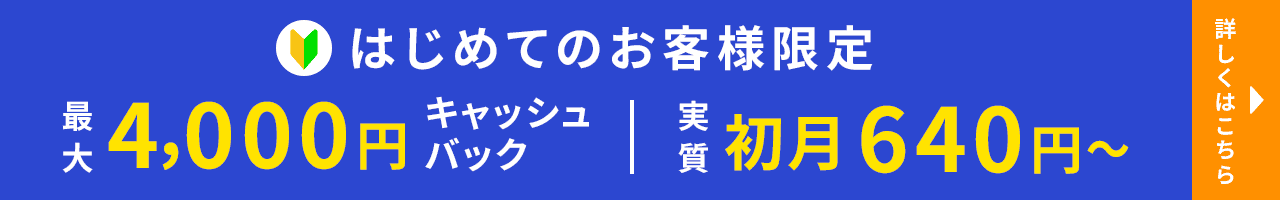 はじめてのお客様限定 最大4,000円キャッシュバック 実質初月640円から