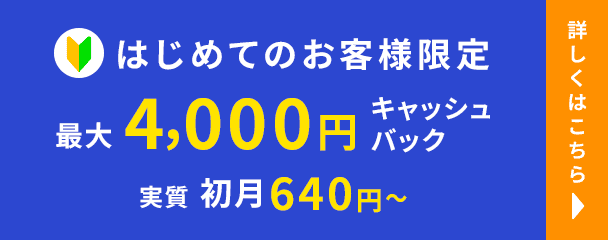 はじめてのお客様限定 最大4,000円キャッシュバック 実質初月640円から